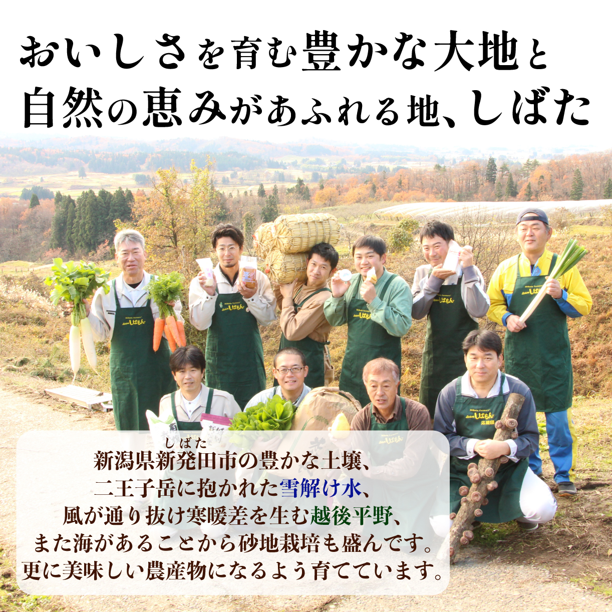 年3回 お届け 野菜 果物 旬 お楽しみセット 約10~13種類 通年受付 詰め合わせ ほうれん草 水菜 アスパラガス トマト オクラ ぶどう もも さといも オータムポエム りんご にんじん 大根 リーフレタス にんにく新潟 新発田 野菜 セット 通年 季節 旬 お楽しみ C17_01 