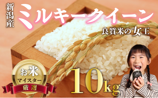 先行予約 令和7年産 ミルキークイーン 10kg ご飯 備蓄 コシヒカリ こしひかり 突然変異種 コメ お米 米 こめ しんまい 新潟産 新潟米 新潟県 新潟 新発田 新発田市 国産 新発田市産 斗伸 toushin016_02