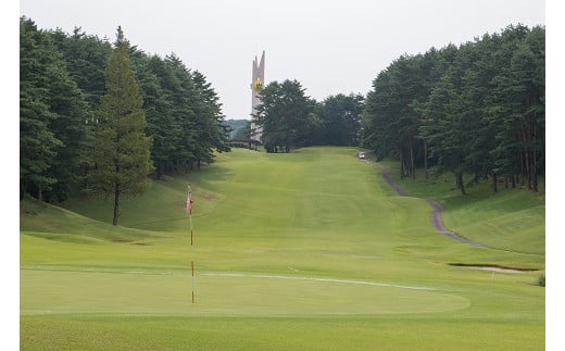 ゴルフ場 新発田市 利用券 60,000円分 (1,000円×60枚) 感謝券 ゴルフ チケット 新潟 市内 利用可 ゴルフ場利用券 プレー券 施設利用券 ごるふ golf 北陸 温泉 旅行 旅行券 宿泊券 利用券 宿泊 月岡 運動 スポーツ 大人