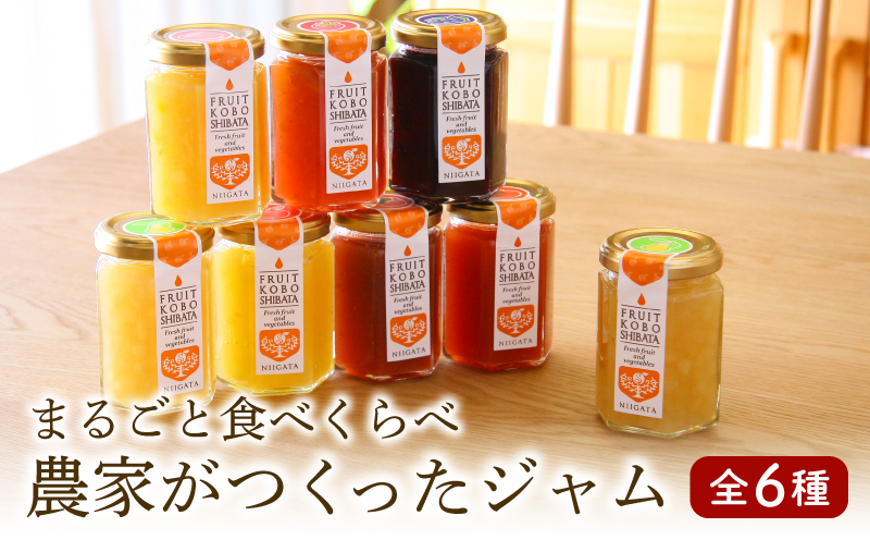 ジャム 6個セット（6種×150g）【自家製 ジャム 詰合せ 手作り 果物 贈り物 ギフト 高橋農園 新潟県 新発田市】