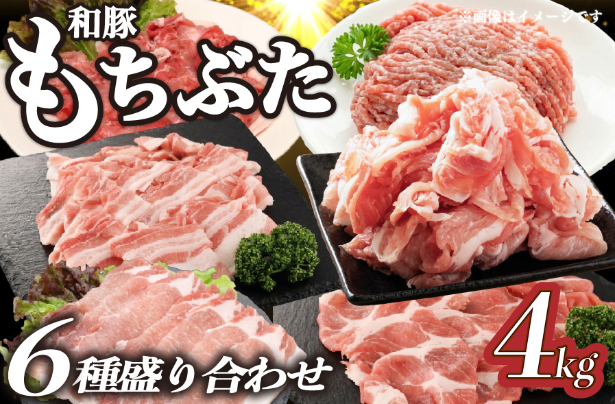 豚肉 和豚 もちぶた バラエティパック 4kg 肩ロース バラ ロース もも ひき肉 小間切れ 食べ比べ ブランド豚 和豚もちぶた ブランド 美味しい豚 豚肉 肉 にく 肉料理 夕食 晩ごはん ポーク おかず 小分け 便利 肉の片山 新潟県 新発田市 katayama008