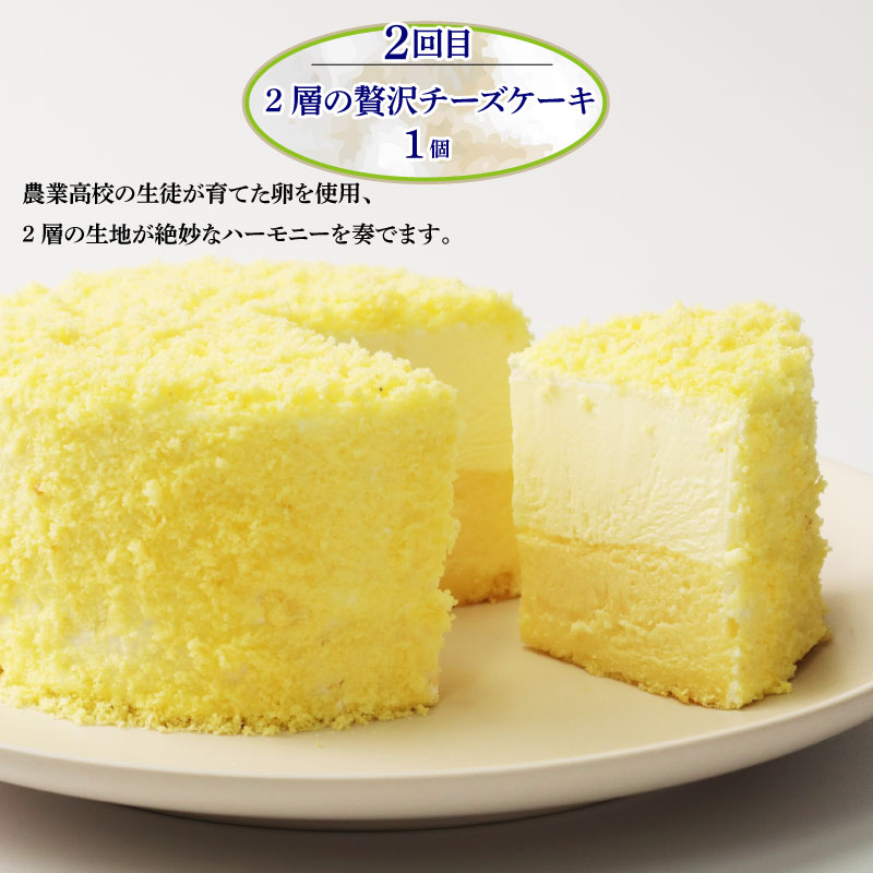 ã¹ã€ãŒã å®æäŸ¿ å
š3å ããŒãºã±ãŒã ã¬ããŒã·ã§ã³ã© ã¢ã³ãã©ã³ èã¢ã€ã¹ ã¢ã€ã¹ ããã ã©ãçŒã ãªãŸã©ããã ãèå ãã¶ãŒã ããã€ æ°æ³æ¬åº æ°æœ æ°çºç° sinyanagi003_01