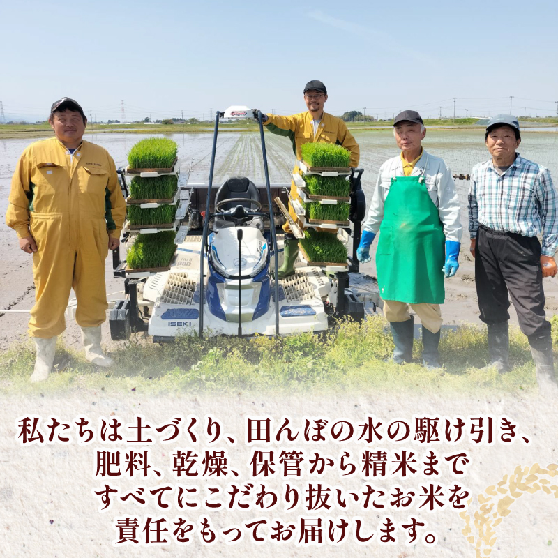 餅 お餅 もち えちごへいや 杵つき餅 たっぷり満足セット もち 草もち 豆もち よもぎ ゴマ ごま 正月 おせち もち 季節限定 正月 おせち 白もち コシヒカリ 米 防災 備蓄 保存食 非常食 正月 餅 おせち 佐々木耕起 お餅 もち kome 年末 年始 新年 お雑煮 新潟県 新潟 新発田 C37_03