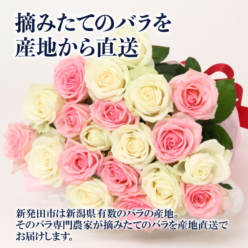 花束 定期便 4回 バラ おまかせ 25本 花 生花 hana ブーケ 薔薇 ローズ お任せ ミックス MIX フラワーアレンジメント フラワー 雑貨 インテリア 人気 記念日 誕生日 母の日 父の日 敬老の日 入学式 卒業式 ギフト プレゼント 生産者 直送 日時指定可 新潟県 新潟 新発田 G05_03