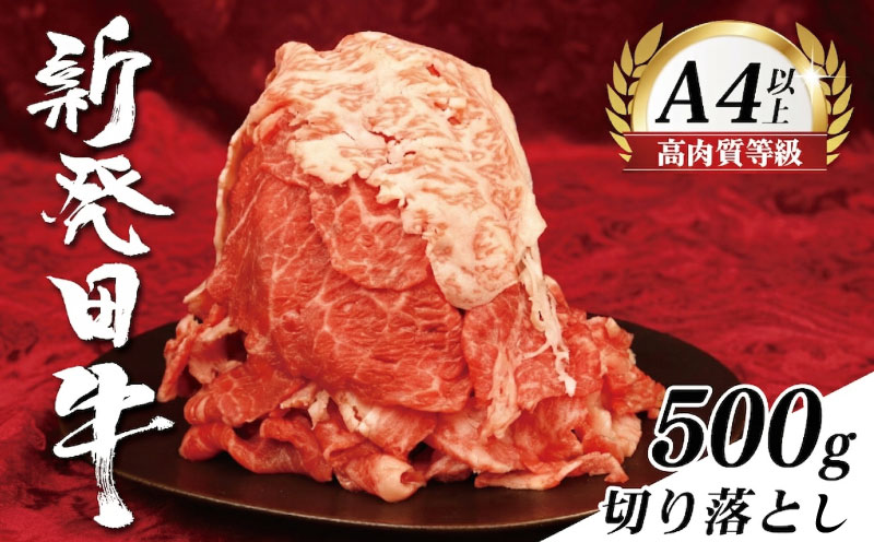牛肉 切り落とし 500g 肉 和牛 霜降り ブランド牛 新発田牛 にいがた和牛 国産 しゃぶしゃぶ 小分け 小間切れ スライス 簡単調理 贈答 お歳暮 新潟県 新発田市 新潟 新発田 10000円 10000 1万円 1万 一万円 一万 アルビレックス アルビレックス新潟 えのもとミート