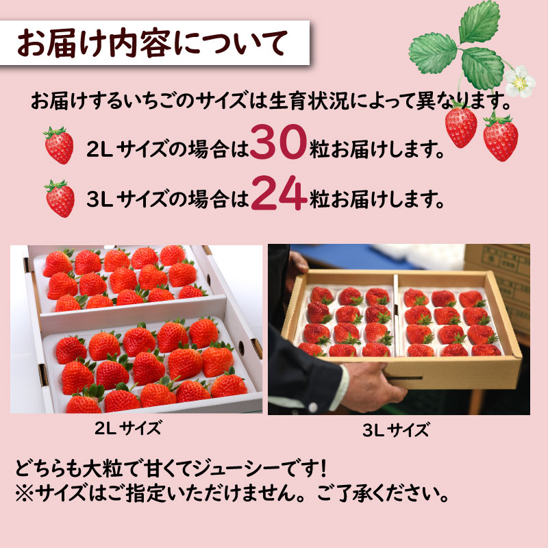 ãã¡ã è¶åŸå§« 3Lïœ2L 24ç² 30ç² æ¡ãããŠ èº ã€ããŽ æ°æœç æ°çºç°åž ãã¡ãã²ã æã©ã 倧ãã çã çç£è
çŽé 蟲家 çŽé æ°ééå® å£ç¯éå® æééå® C11_02