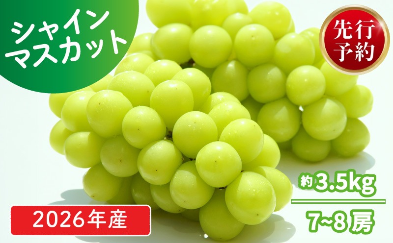 2026年先行予約 シャインマスカット 約3.5kg 7～8房 マスカット 果物 くだもの フルーツ スイーツ 葡萄 ブドウ ぶどう 髙橋農園 新潟県 新発田市 takahashi007