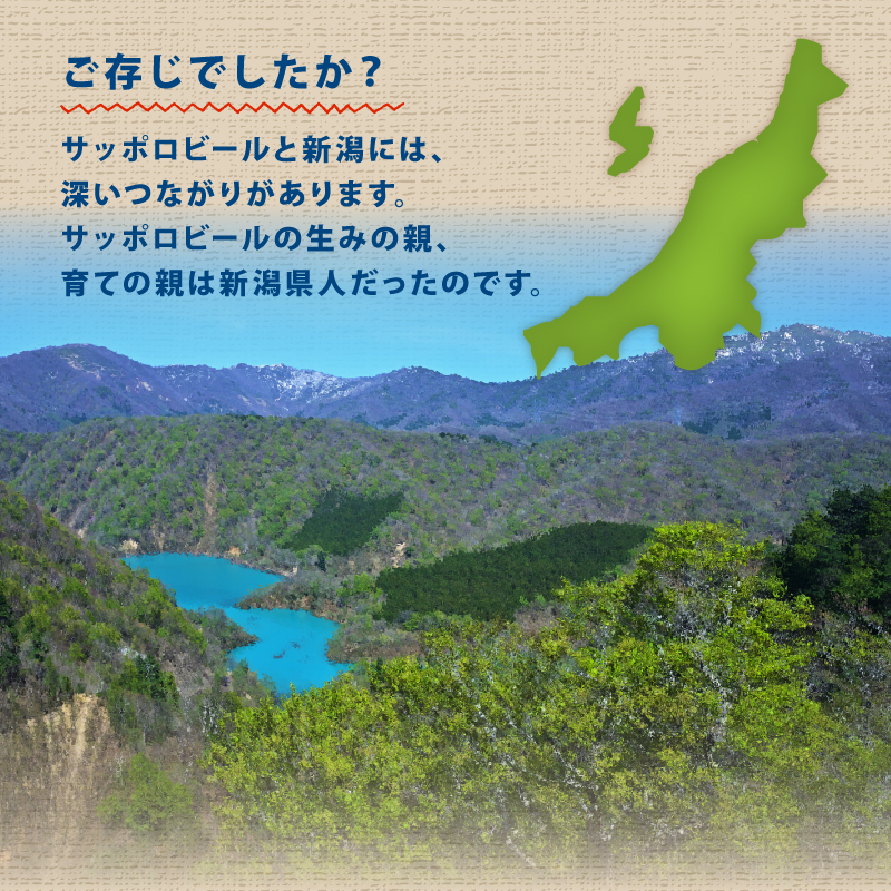 ≪最短3日発送≫ 風味爽快ニシテ 350ml×24本 ビール 新潟 限定 ビイル サッポロビール サッポロ ご当地 取り寄せ 酒 お酒 さけ sake アルコール ギフト プレゼント 贈り物 セット お土産 人気 おすすめ 新潟県 新発田市 shinbo005_01