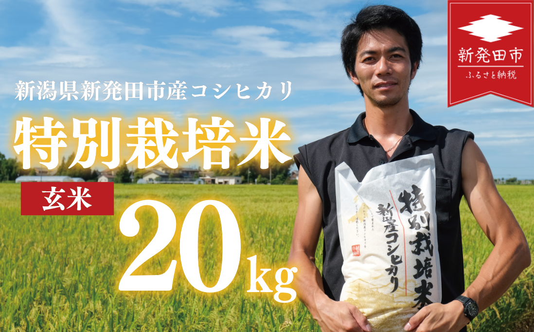 先行予約 コシヒカリ 玄米 20kg 令和7年産 特別栽培米 こしひかり 米 お米 こめ 新潟米 新潟県産 新潟産 新潟 新潟県 新発田産 新発田 新発田市 斗伸 toushin026