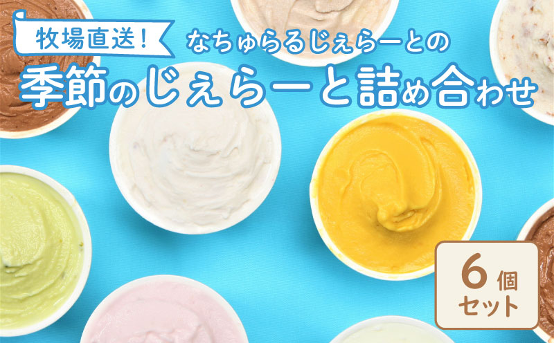 ジェラート  6個入 ミルク ピスタチオ 塩 キャラメル 塩キャラメル いちご 苺 越後姫 ラム レーズン  緑茶 お茶 アイス ジェラート セット 手作り  6個 なちゅらるじぇらーと なかの牧場 新潟 新発田 nakano001