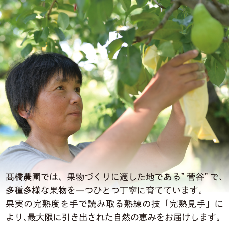 ジャム 6個セット（6種×150g）【自家製 ジャム 詰合せ 手作り 果物 贈り物 ギフト 高橋農園 新潟県 新発田市】 