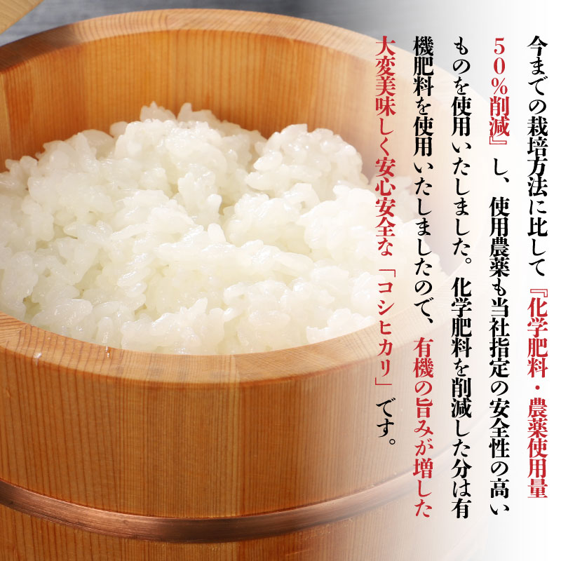 ã12æçºéã æ°æœçç£ ç¹å¥æ œå¹ç±³ ã³ã·ãã«ãª 5kg 什å7å¹Žç£ ããã²ãã ç¹æ œç±³ ç±³ æ°ç±³ æå²¡ æž©æ³ ãç±³ ãã ã飯 ãã¯ã ãããã æ°æœç±³ æ°æœ æ°æœç ç±³ æ°çºç°ç£ æ°æœç£ æé£ æŒé£ å€é£¯ çãã㊠粟米 watasho004_202512