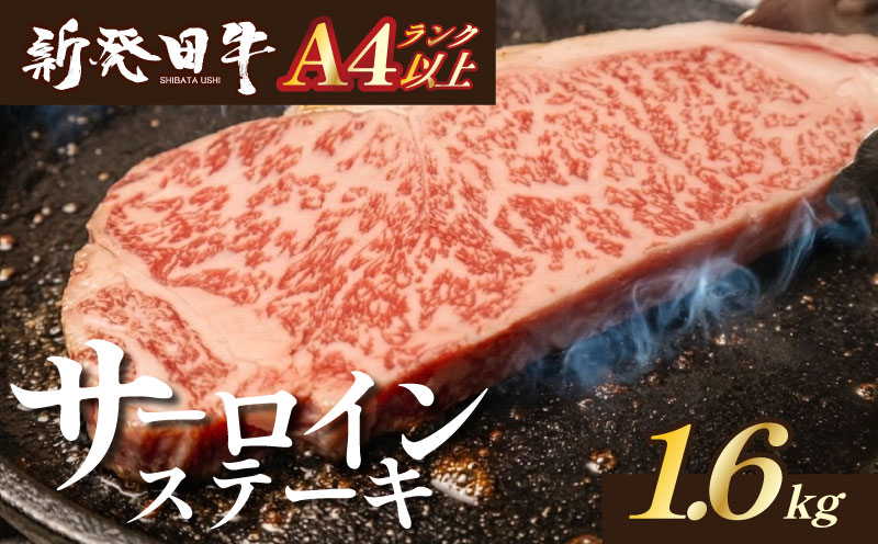 サーロイン ステーキ 牛肉 1.6kg にいがた和牛 和牛 新発田牛 赤身 焼肉 ふるさと納税 和牛 BBQ キャンプ 特選 贅沢 厳選和牛 ブランド牛 ギフト 贈答 お歳暮  新潟 新潟県 新潟産 新発田 新発田市 新発田産 アルビレックス アルビレックス新潟 えのもとミート
