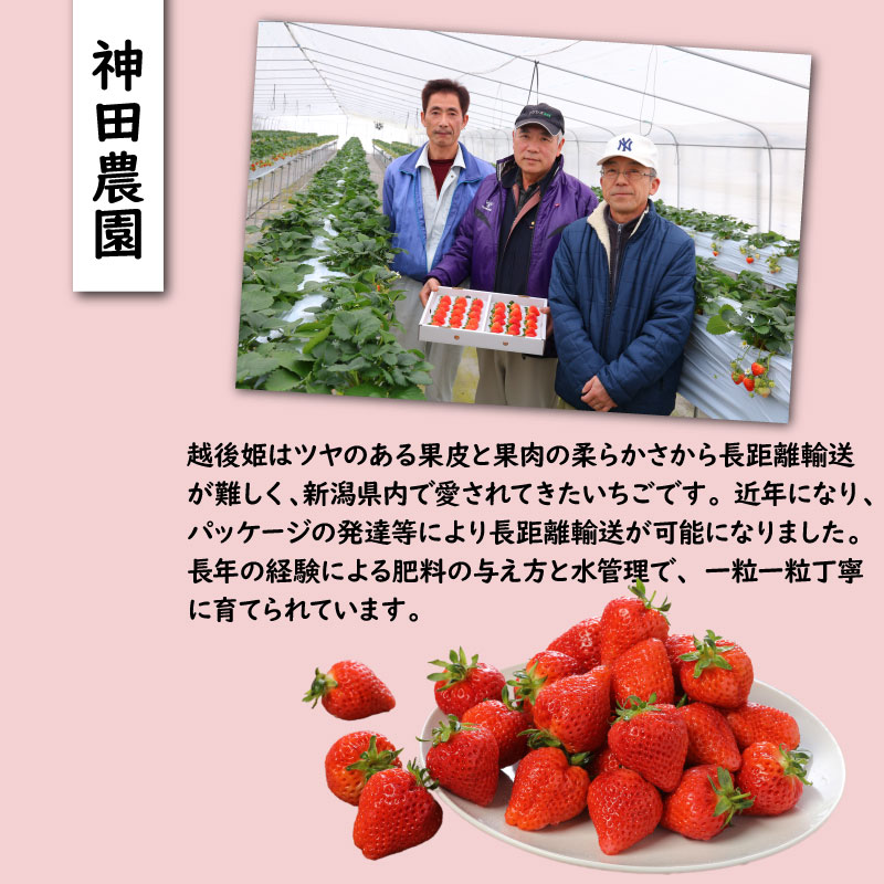 ãã¡ã è¶åŸå§« 3Lïœ2L 24ç² 30ç² æ¡ãããŠ èº ã€ããŽ æ°æœç æ°çºç°åž ãã¡ãã²ã æã©ã 倧ãã çã çç£è
çŽé 蟲家 çŽé æ°ééå® å£ç¯éå® æééå® C11_02