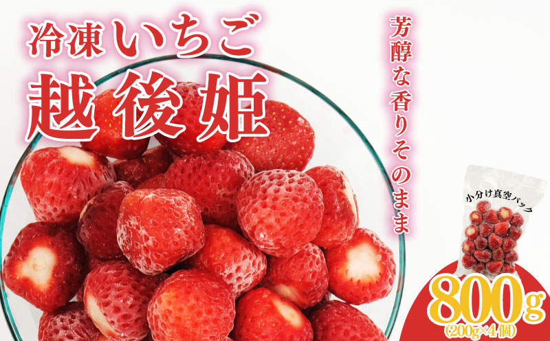 【 冷凍いちご 越後姫 800g 】 200g × 4パック 越後姫 いちご 苺 冷凍苺 かき氷 シャーベット スムージー ヨーグルト 果物 くだもの 人気 冷凍フルーツ フルーツ デザート お菓子 夏 新潟県 新発田市 imagawaya017