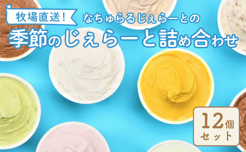 なかの牧場なちゅらるじぇらーとセット 12個入 [ ミルク チョコ ブルーベリー チーズ お茶 緑茶 紅茶 ほうじ茶 ラム レーズン ピスタチオ 塩 キャラメル アイス ジェラート セット 季節 お茶 冨士美園 てづくり なちゅらるじぇらーと なかの牧場 12個 F02 ]
