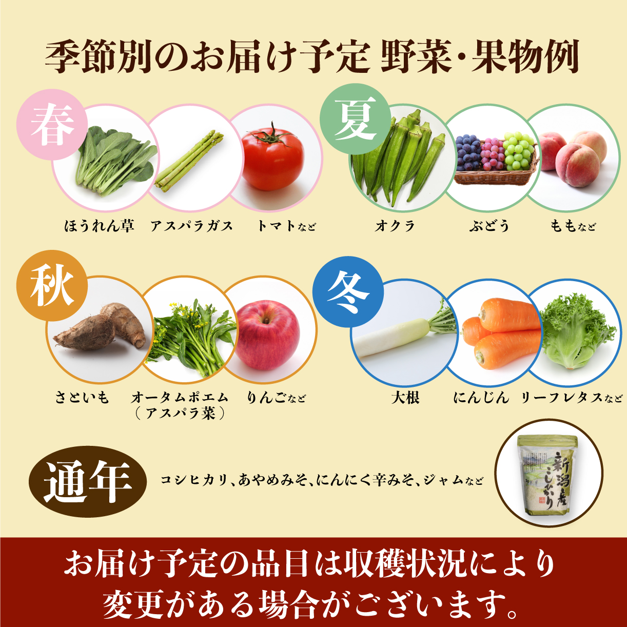 年3回 お届け 野菜 果物 旬 お楽しみセット 約10~13種類 通年受付 詰め合わせ ほうれん草 水菜 アスパラガス トマト オクラ ぶどう もも さといも オータムポエム りんご にんじん 大根 リーフレタス にんにく新潟 新発田 野菜 セット 通年 季節 旬 お楽しみ C17_01 