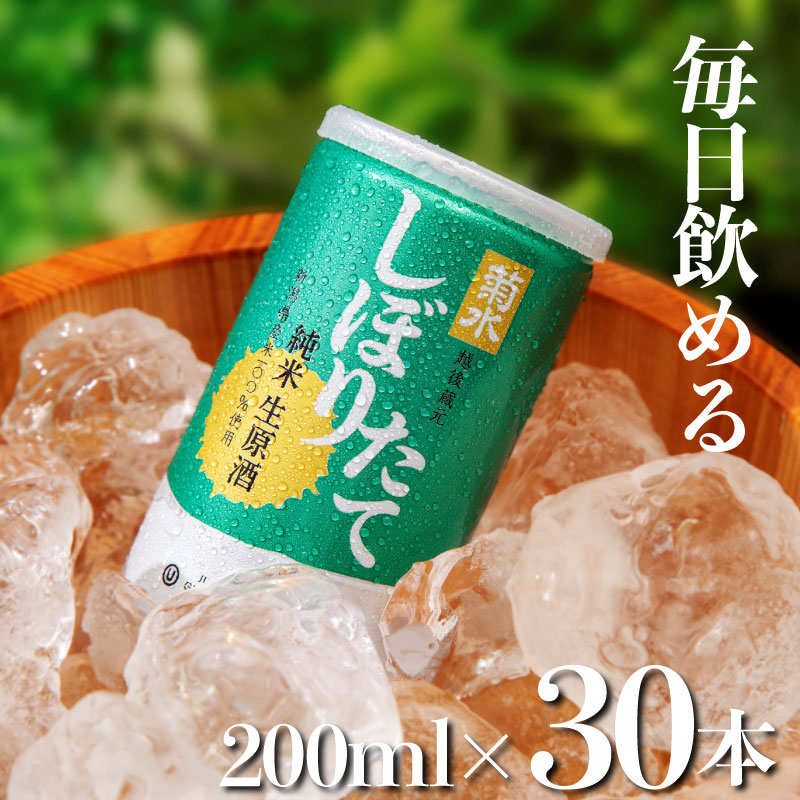 日本酒 菊水 しぼりたて 純米 生原酒 200ml × 30本 酒 おいしい お酒 芳醇 地酒 純米酒 生原酒 缶 ギフト プレゼント アウトドア 菊水酒造 39000円 39,000円 新潟県 新発田市 kikusui001_01 