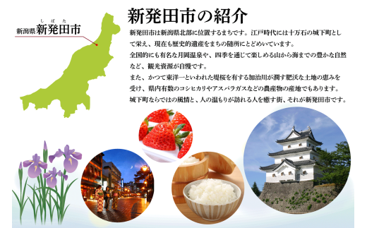 【返礼品なし】新発田市民の安心安全を守るために ～人とクマとの棲み分けに向けたご支援を～