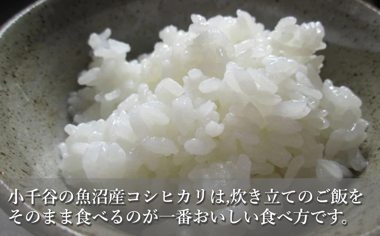 KY87P409 【共栄農工社】 令和6年産 魚沼産コシヒカリ 定期便5kg×6回／毎月お届け 白米 魚沼 米 定期便