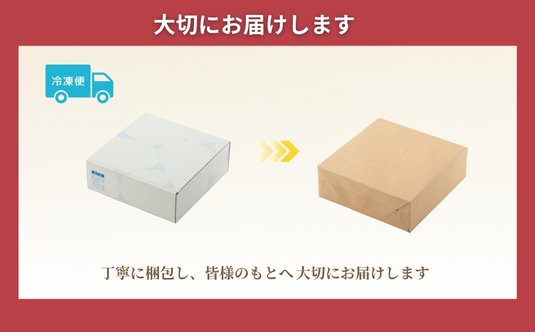 サーモン 切り身セット 甘塩サーモン計20切れ（10袋×2箱） 個包装・真空パック 冷凍 ギフト対応 鮭づくし 吉雪 【0002-0065SV01-01】