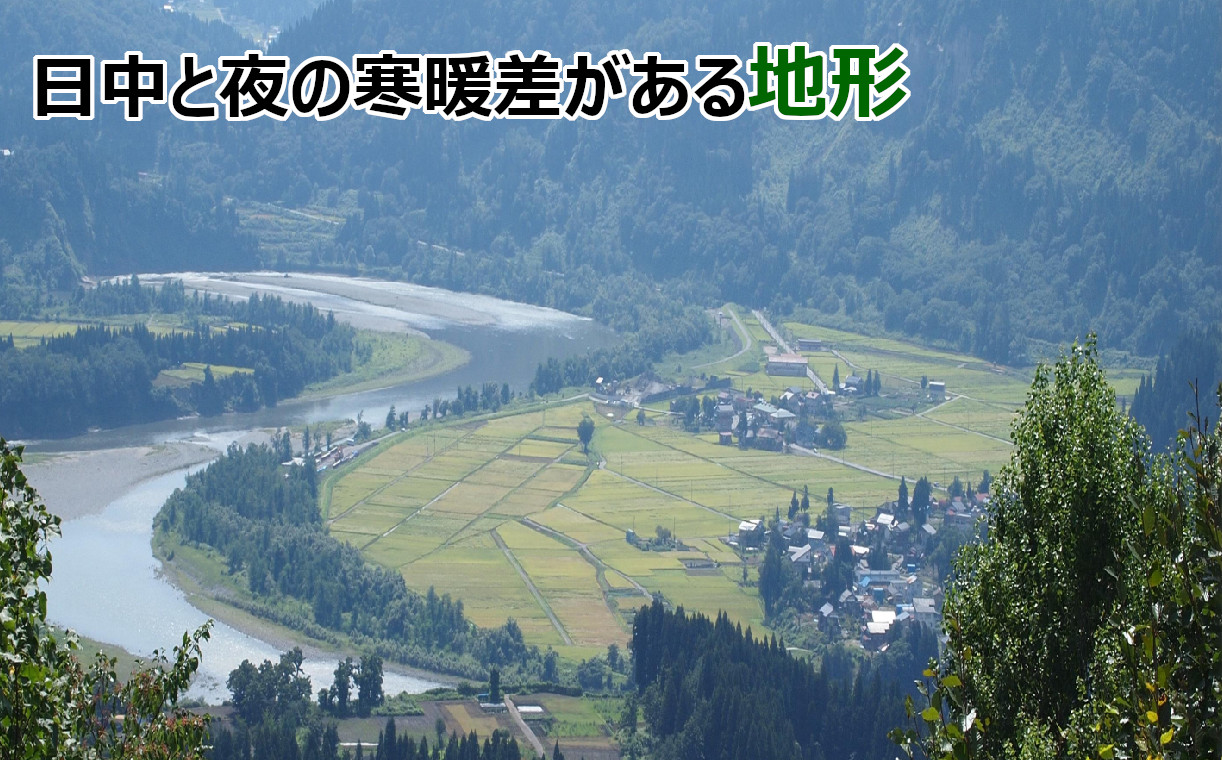 JA15P316 令和6年産 特別栽培米 魚沼産コシヒカリ5kg 令和6年10月下旬頃から受付順に発送予定 JA魚沼 白米 魚沼 米