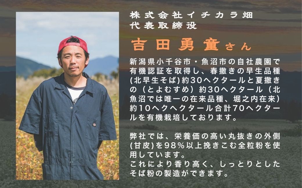 ãç¡èŸ²è¬æ œå¹ã®çãã°100ïŒ
䜿çšãéªå®€ã㰠也麺 180gÃ12åã»ãã(ãªãŒã¬ããã¯ã»ç¡èŸ²è¬æ œå¹) ã€ãã«ã©ç ã0021-0003-01ã