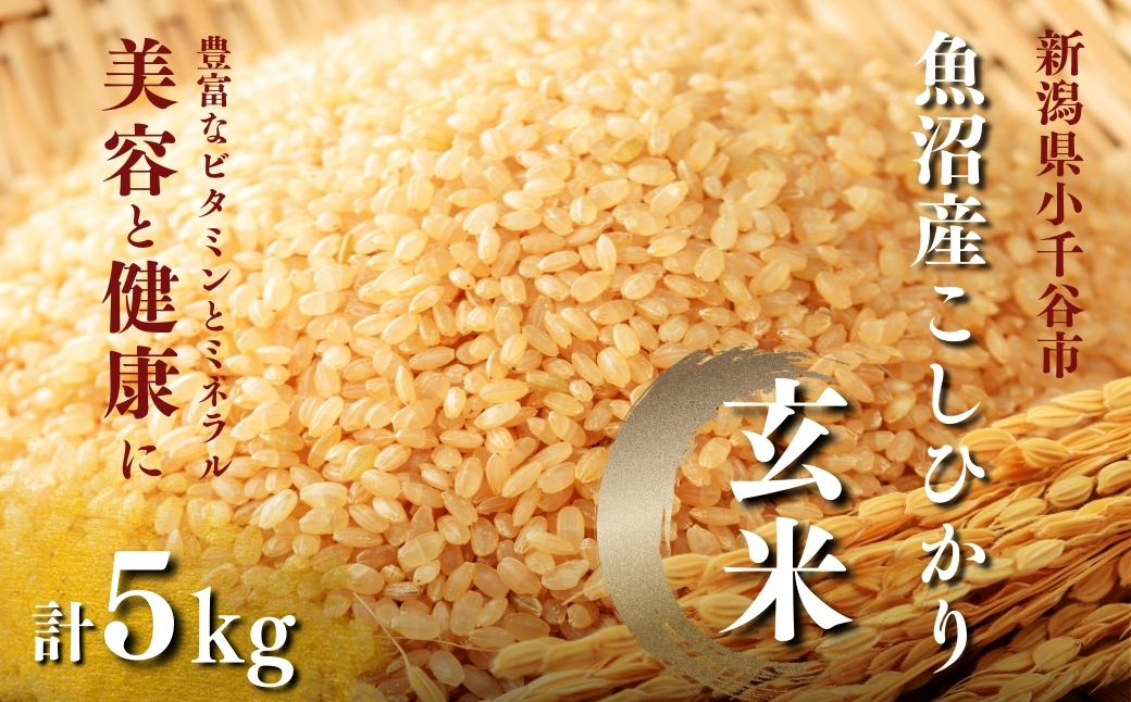 【玄米 選別品】令和7年産 魚沼産コシヒカリ 玄米 5kg×1袋 米太【0020-KT06-02】