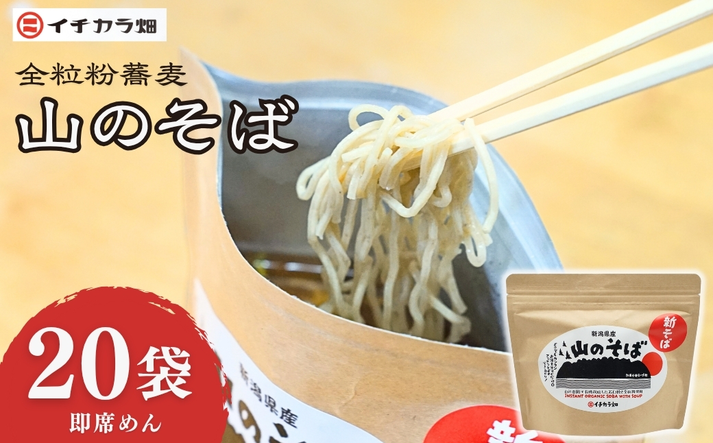 山のそば 1ケース 20個セット イチカラ畑 【0021-0010-01】