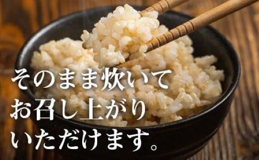 KT35P348〔定期便 毎月〕〔玄米 選別品〕令和6年産魚沼産コシヒカリ玄米定期便 5kg×3回【毎月お届け】（米太）