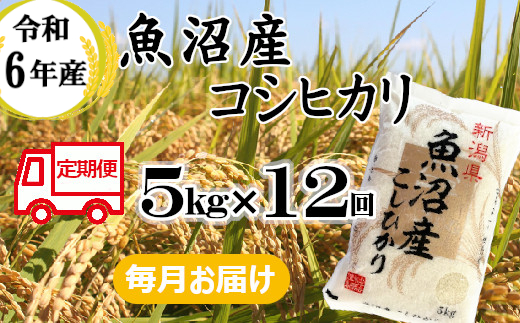 131P391BE 令和6年産 魚沼産コシヒカリ 定期便 5kg×12回【毎月お届け】（小千谷米穀） 精米 米 魚沼 魚沼産 新潟県 小千谷市