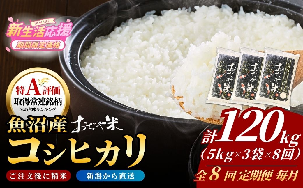 令和7年産 新潟県 魚沼産コシヒカリ「おぢや米」合計120kg(5kg×3袋×毎月お届け全8回)  JA魚沼【0002-JA24DB00-02】