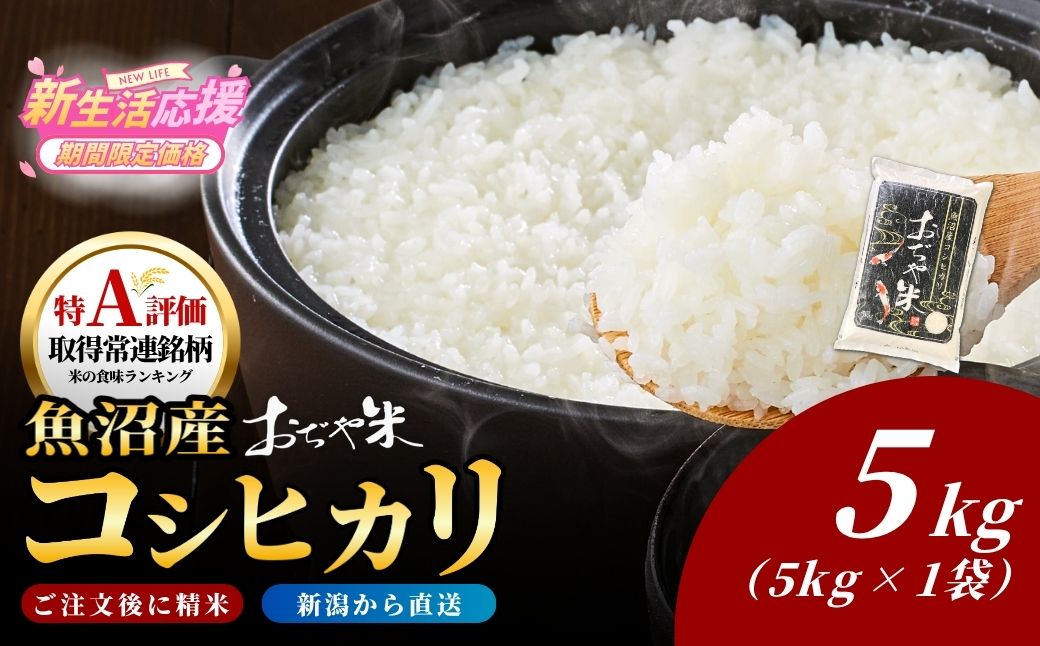令和7年産 魚沼産コシヒカリ 5kg JA魚沼