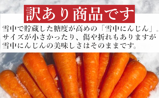 10P478 【訳あり】 雪中にんじん 約5kg K-farm にんじん 人参 野菜 新潟県産 規格外品 訳アリ ワケアリ 産地直送 新潟県 小千谷市