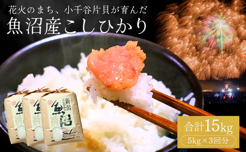 [令和7年産]魚沼産コシヒカリ 15kg (5kg×3袋) 米萬商店 | 新潟県産 白米 精米 産地直送 小分け 四尺玉花火の町 片貝産 老舗米屋の厳選米[0002-KM10-01]