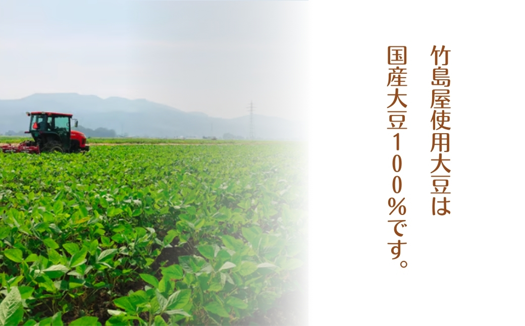 【国産大豆100％使用】大豆本来の風味と食感 豆菓子の箱詰め10個入セット 豆菓子の竹島屋 【0024-0001-01】