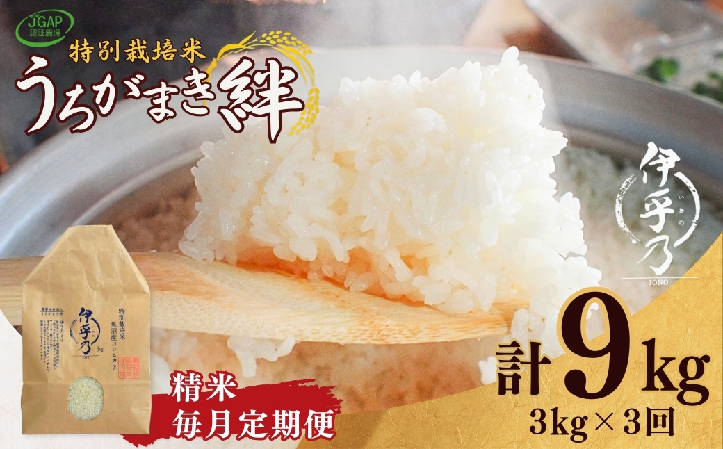 【JGAP認証農場】令和7年産 魚沼産コシヒカリ 特別栽培米「伊乎乃」 精米計9kg（3kg×1袋） 定期便毎月全3回 うちがまき絆 | 新潟県産 コシヒカリ お米 米 おこめ こめ コメ こしひかり 精米 白米 魚沼産 ブランド米【0002-UK10DB00-01】