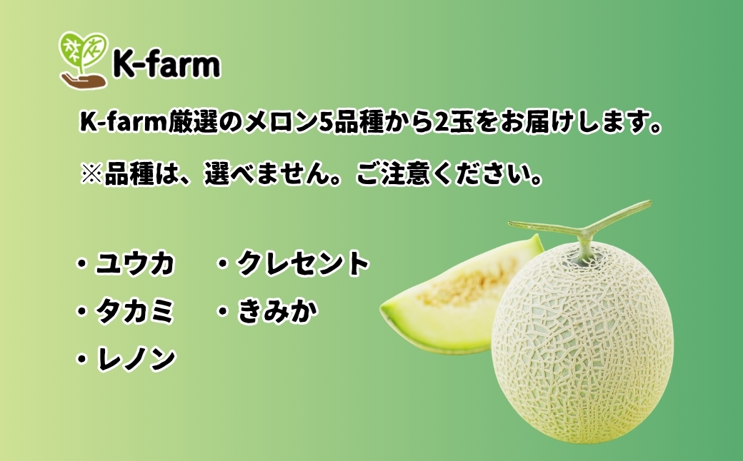 【先行予約 数量限定】K-farmのおまかせメロン2玉 【0054-0001-02】