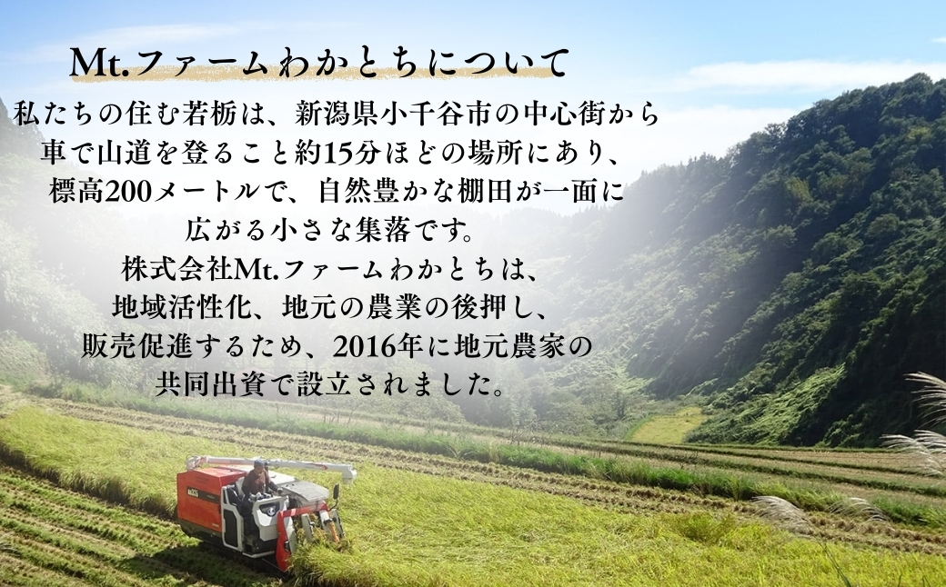 【期間限定】杵つき手のし餅「わかとちのもち」生白もち 500g×3個 Mt.ファームわかとち【0002-0292-01】
