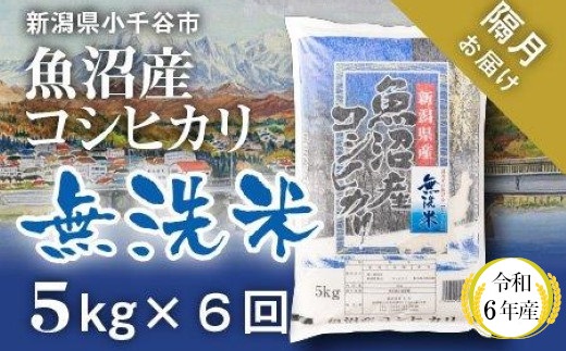 KT74P346 令和6年産 無洗米 魚沼産コシヒカリ定期便5kg×6回（隔月お届け）（米太）