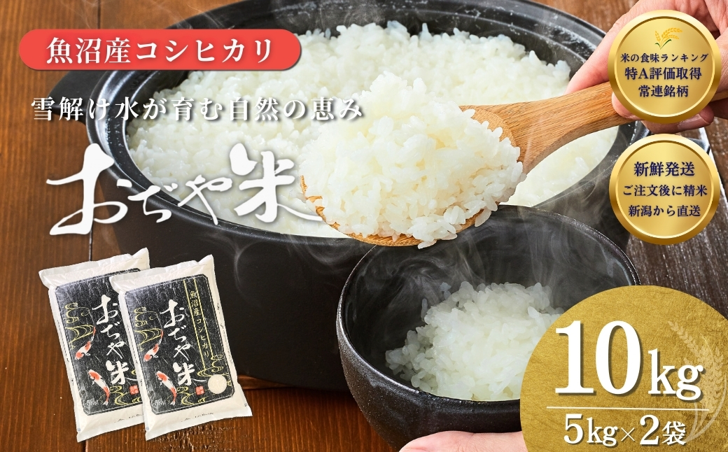 令和7年産 魚沼産コシヒカリ「おぢや米」 計10kg(5kg×2袋)JA魚沼[0002-JA13-01]