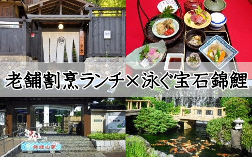 r05-010-081 江戸時代から引き継がれている老舗割烹「居食亭東忠」のランチ「東忠御膳」と錦鯉発祥の地「泳ぐ宝石錦鯉」 が遊泳する「小千谷市錦鯉の里」を巡る利用券　１名様