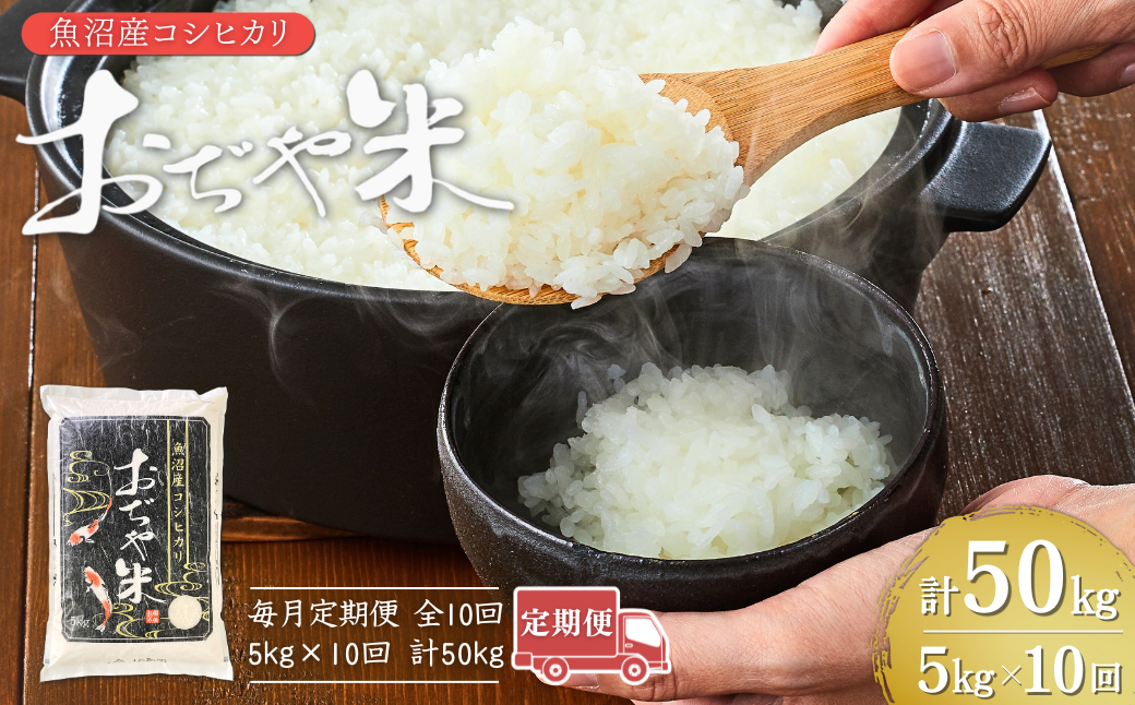 令和7年産魚沼産コシヒカリ定期便 5kg×10回（毎月お届け）（10か月連続お届け）JA魚沼 白米 魚沼 米 定期便