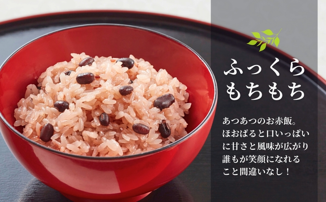 新潟産こがねもち赤飯 パックご飯 10個パック 越後小千谷たかの 【0002-0198-01】