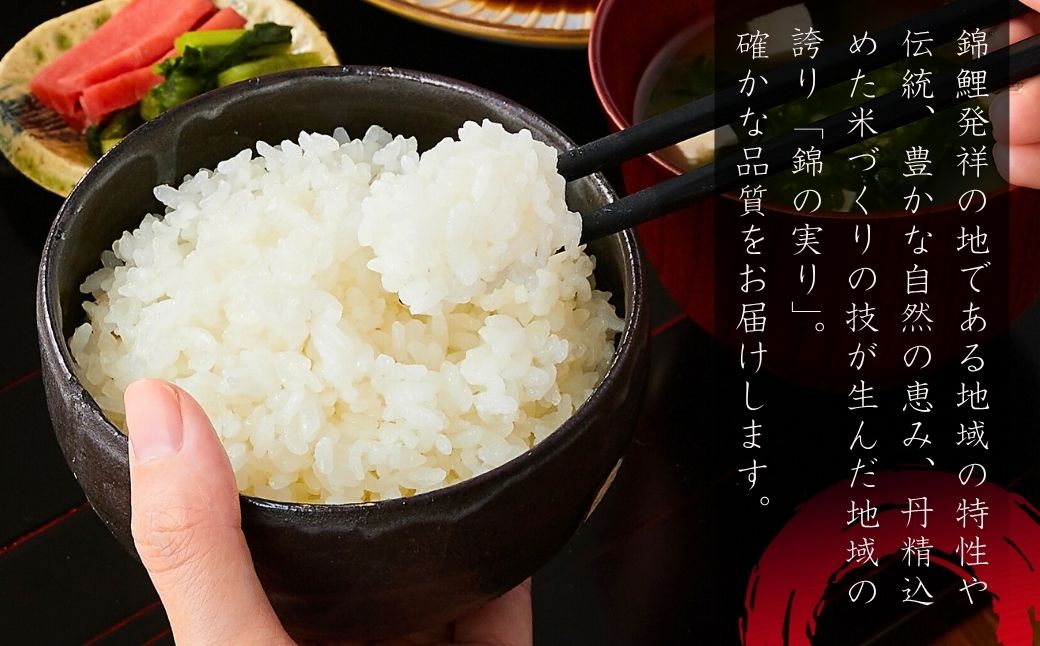 【コシヒカリ】令和7年産 魚沼産コシヒカリ 定期便 ブランド認証米 錦の実り Aランク 精米10kg (5kg×毎月全2回)  農薬化学肥料肥料5割減 品質管理 | 特A評価 新潟産コシヒカリ 新潟県産コシヒカリ 魚沼産こしひかり 米 お米 こしひかり 白米 精米 ブランド米【0002-OBa17DB00】