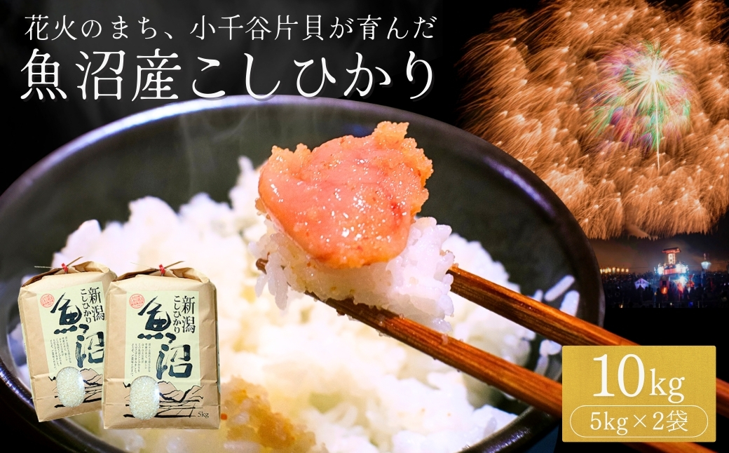 【令和7年産】 魚沼産コシヒカリ 10kg(5kg×2袋) 世界一の四尺玉の町 片貝町からお届け 精米 白米 新潟県産 米萬 【0002-KM02-04】