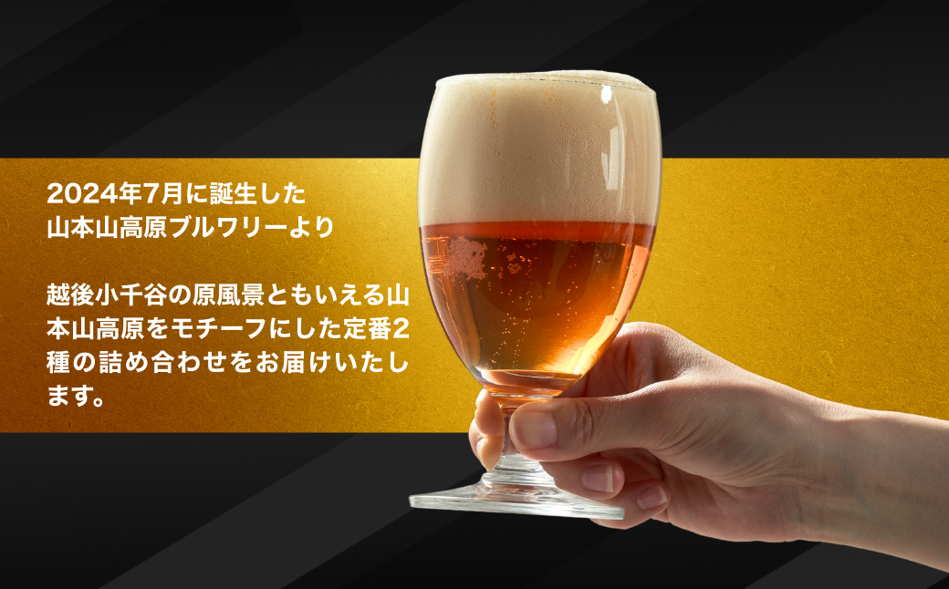 おぢやのクラフトビール 定番2種飲み比べ 計6本(330ml×各3本) IPA＆草原GREEN 山本山高原ブルワリー 地ビール ご当地 新潟【0002-0384-01】