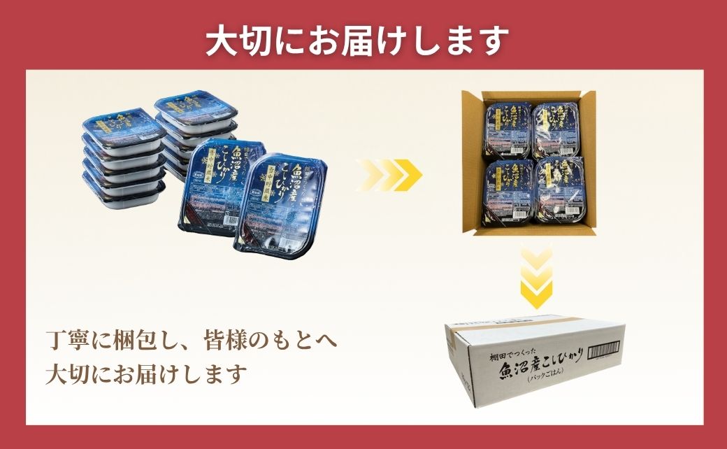 魚沼産コシヒカリ 雪中貯蔵米パックご飯 12個セット ごはんソムリエ監修 たかの 【0002-0195-02】