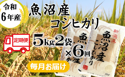 131P396BE 令和6年産 魚沼産コシヒカリ 定期便 5kg2袋×6回【毎月お届け】（小千谷米穀） 白米 精米 米 魚沼 魚沼産 新潟県 小千谷市 定期便