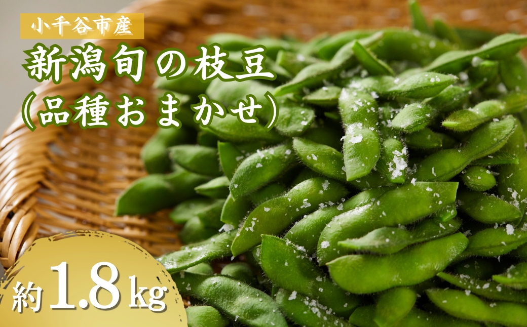  ＜先行予約＞小千谷産枝豆（品種:おまかせ）約1.8kg （7月中旬から10月上旬発送予定）冷蔵 枝豆 野菜 つまみ おつまみ えだまめ エダマメ 新潟